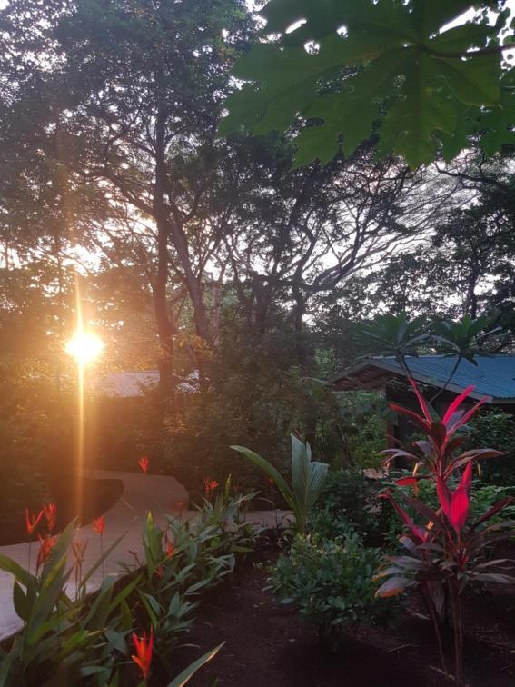 Baliyana Lodge San Jose Pinilla Екстер'єр фото
