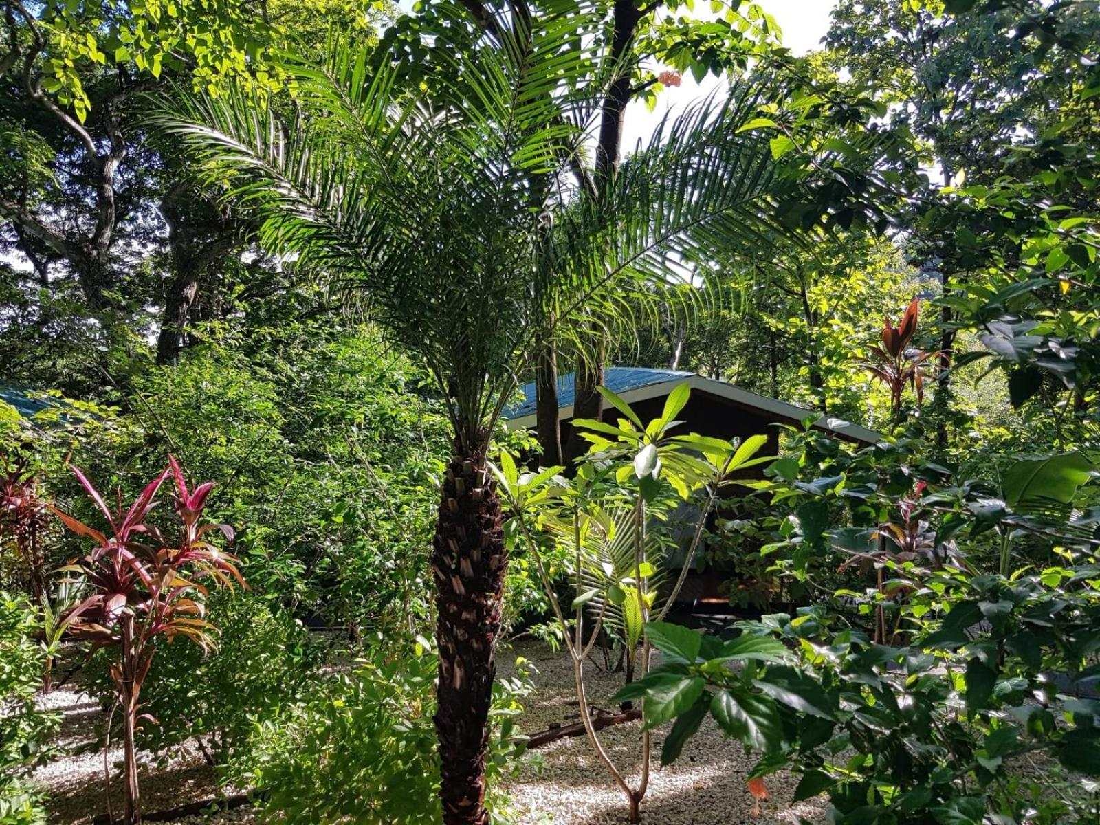 Baliyana Lodge San Jose Pinilla Екстер'єр фото